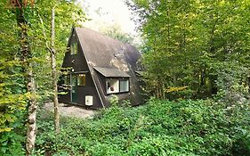Bosmuis Ardennen, Durbuy.. Genieten in de bossen